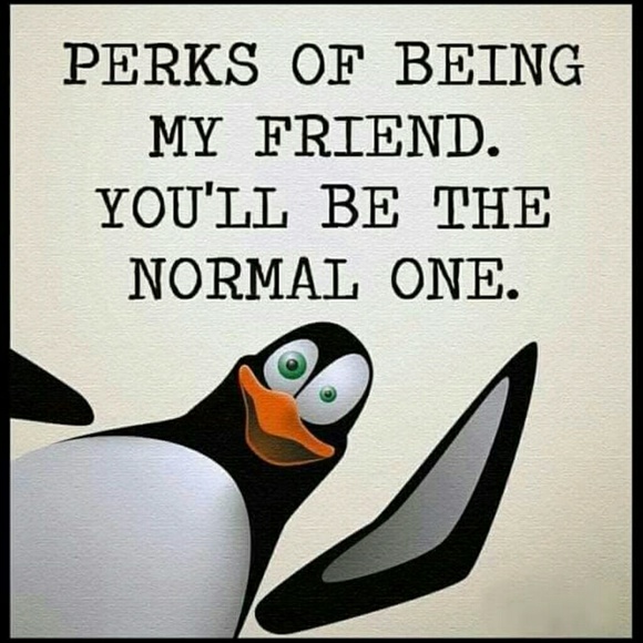 Meet your Posher, Janis - Picture 3 of 7